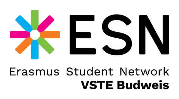ESN VSTE Budweis logo